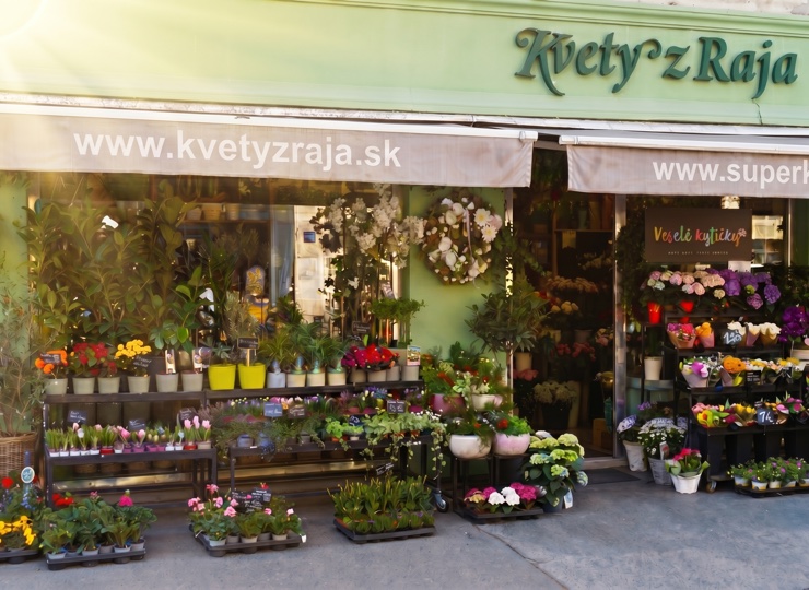 Kvety z Raja – Špitálska 37, Bratislava